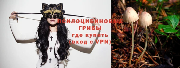 молекула духа Коряжма