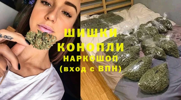 молекула духа Коряжма