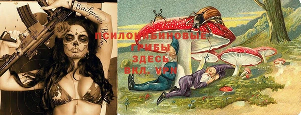 тгк Корсаков
