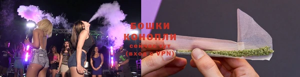 ПСИЛОЦИБИНОВЫЕ ГРИБЫ Костерёво