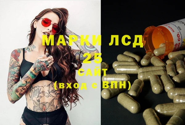 ПСИЛОЦИБИНОВЫЕ ГРИБЫ Костерёво