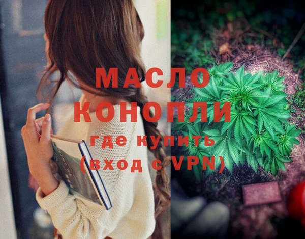 молекула духа Коряжма