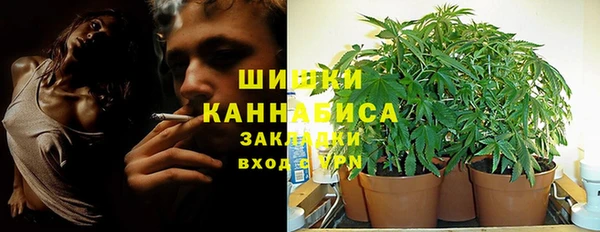 ПСИЛОЦИБИНОВЫЕ ГРИБЫ Костерёво